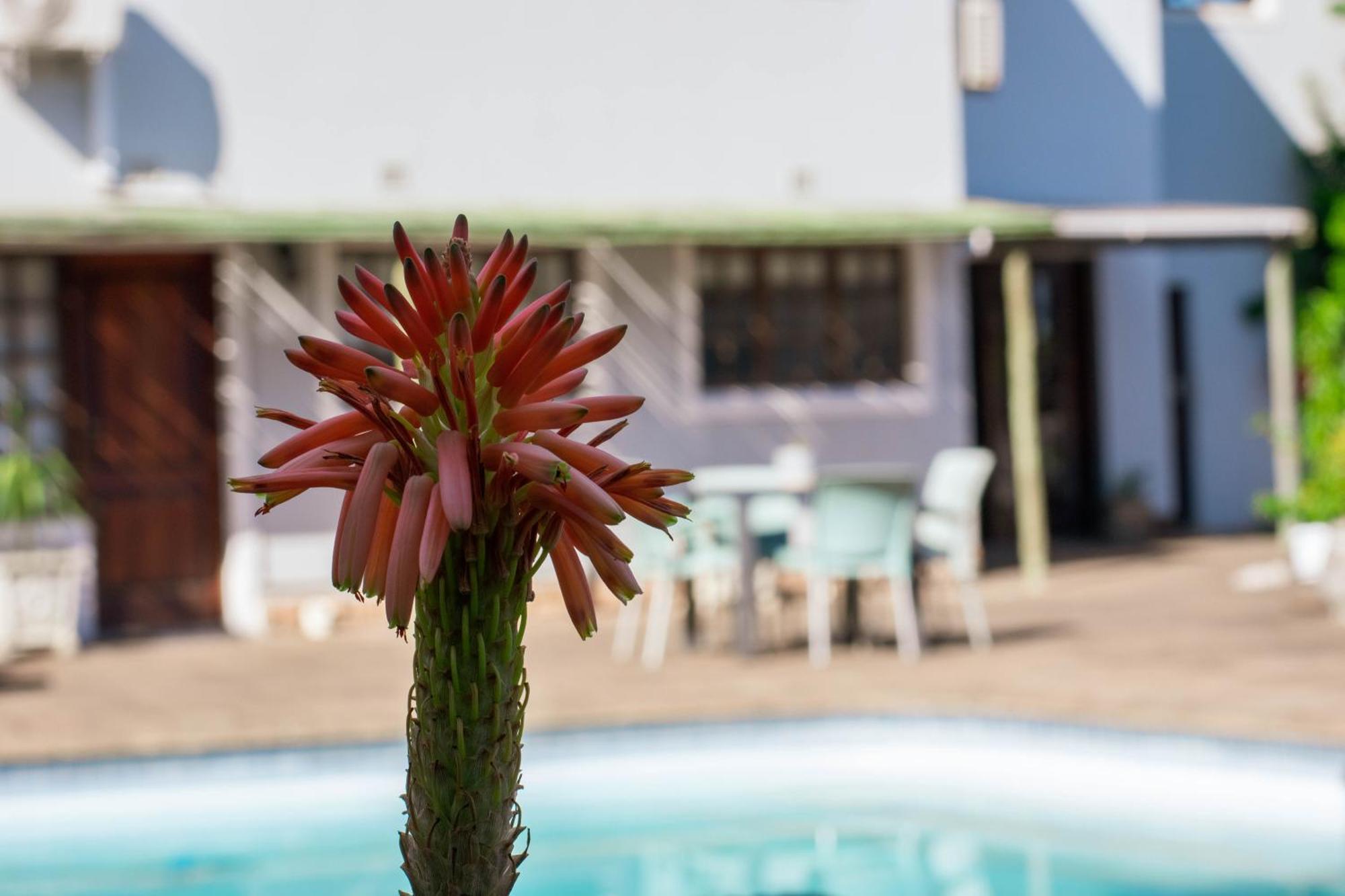 אמנזימטוטי African Sands B&B מראה חיצוני תמונה